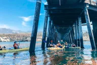 Santa Barbara Gaviota Coast Kayak Tour 3.5 Hr thumbnail 2