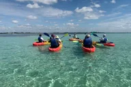 Bradenton Beach Kayak Adventure thumbnail 2