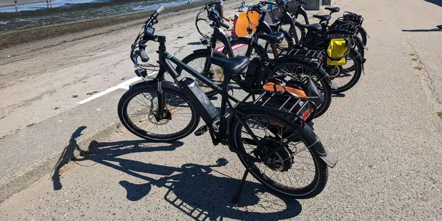 Seattle Bainbridge Island Electric Bike Tour - Image 5