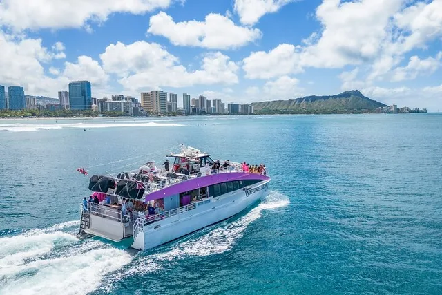 Waikiki Whale Watching 2-Hour Tour - Image 5