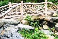 New York City Central Park Walking Tour thumbnail 4