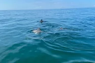 Panama City Beach Sunset Tour thumbnail 3