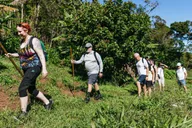 Maui Rainforest Waterfall Hiking Adventure thumbnail 1