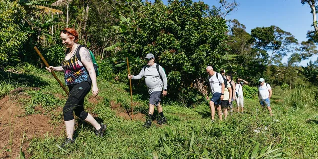 Maui Rainforest Waterfall Hiking Adventure - Image 1