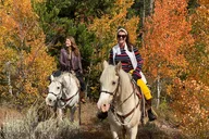 Jackson Hole Horseback Riding in Bridger Teton NF thumbnail 6