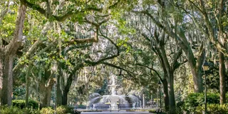 Savannah E-Bike Tour of History and Culture