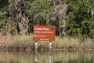 Crystal River Manatee Swim Small Group 3 Hr thumbnail 5