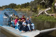 New Orleans Bayou Airboat Ride thumbnail 4