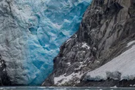 Anchorage Glacier and Wildlife Discovery Tour thumbnail 3