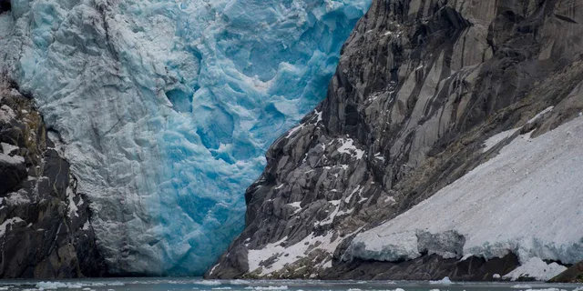 Anchorage Glacier and Wildlife Discovery Tour - Image 3