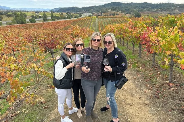 Napa Valley Mountainside Winery Tour - Image 3