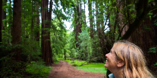 San Francisco Muir Woods and Sausalito Tour 5 hr - Image 1