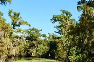 New Orleans Airboat Swamp & City Tour Combo thumbnail 3