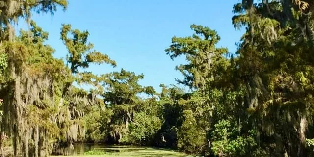 New Orleans Airboat Swamp & City Tour Combo - Image 3