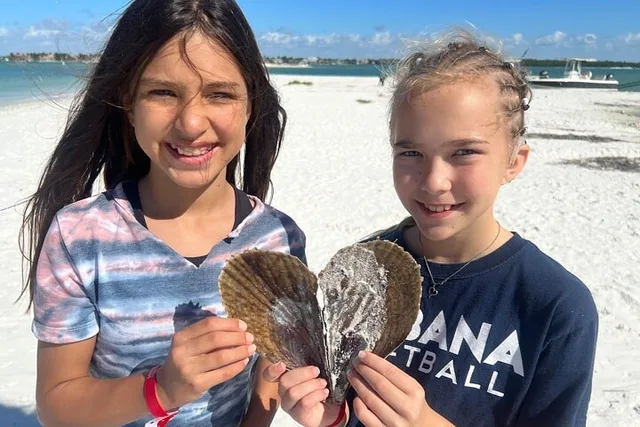 Marco Island Shelling Tour - Image 2
