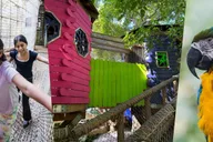 Miami Jungle Island General Admission thumbnail 4