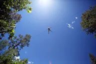 Durango Zipline Tour with Train Ride and Lunch thumbnail 6