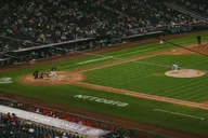 Washington D.C. Baseball Game Ticket thumbnail 5