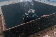 Waikiki SCUBA Diving Wreck Tour - Certified Divers thumbnail 3