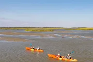 Charleston Folly River Kayak Dolphin Safari at Sunset thumbnail 6