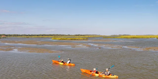 Charleston Folly River Kayak Dolphin Safari at Sunset - Image 6