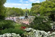 New York Central Park Pedicab Tour thumbnail 2