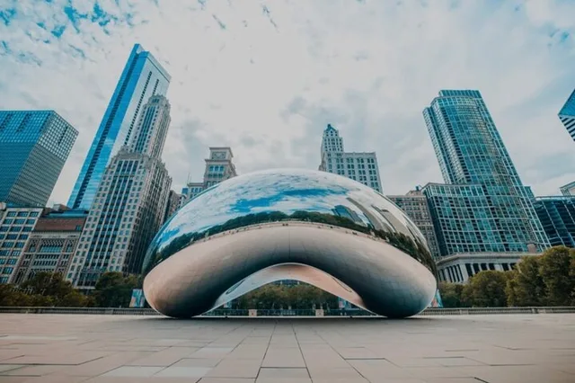 Chicago Private Tour - Image 1
