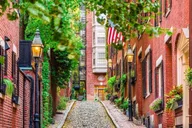 Boston Public Garden and Beacon Hill Half-Day Tour thumbnail 5