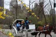 New York Central Park Carriage Tour thumbnail 4