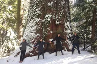 Yosemite Off-Road Giant Sequoia 4x4 Tour thumbnail 2