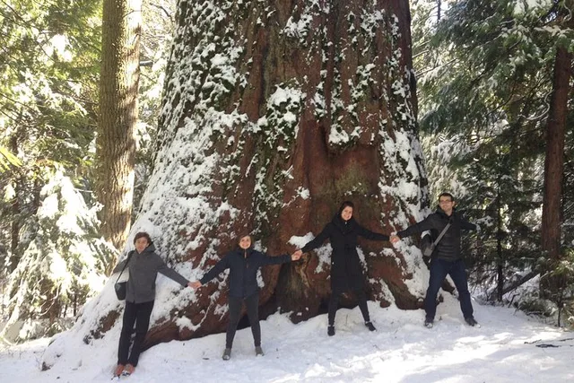Yosemite Off-Road Giant Sequoia 4x4 Tour - Image 2