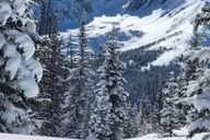 Estes Park Rocky Mountain National Park Snowshoeing Tour thumbnail 5