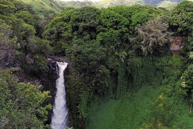 Maui Road to Hana Tour with Guide - Image 2