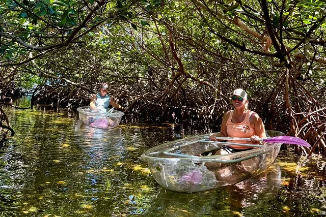 Key West Kayak Eco Tour - Image 3