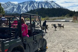 Skagway Dog Mushing and Yukon Experience