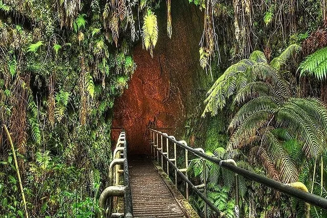 Maui Road to Hana Rainforest and Waterfall Tour - Image 3