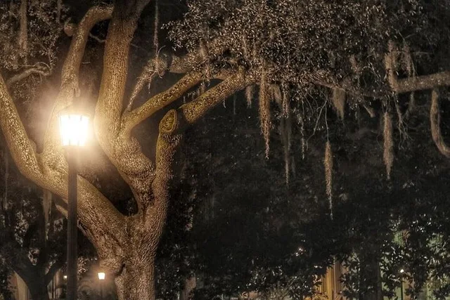 Savannah Zombie Night-Time Walking Ghost Tour - Image 5
