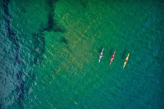 Tomales Bay Midweek Kayak Tour