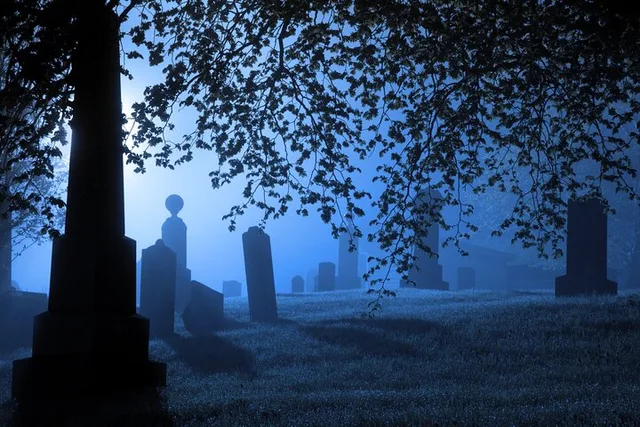 Savannah Ghost Audio Tour 60 min - Image 1