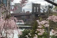 Manhattan Walking Tour Brooklyn Bridge and Waterfront thumbnail 3