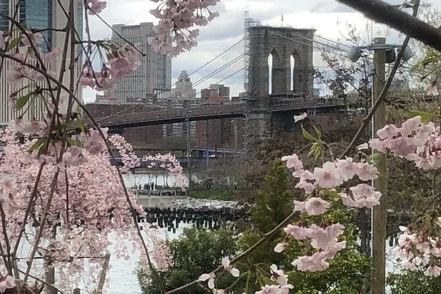 Manhattan Walking Tour Brooklyn Bridge and Waterfront - Image 3
