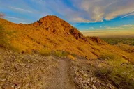 Phoenix Sonoran Desert Guided Hike 2 hr thumbnail 6