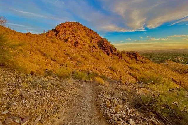 Phoenix Sonoran Desert Guided Hike 2 hr - Image 6