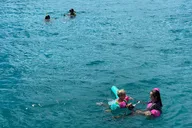 Waikiki Turtle Canyon Snorkel Adventure thumbnail 5