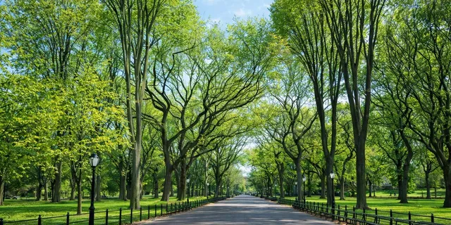 New York City Highlights Tour - Image 3