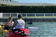 Don Pedro Island Kayak Eco Tour thumbnail 4