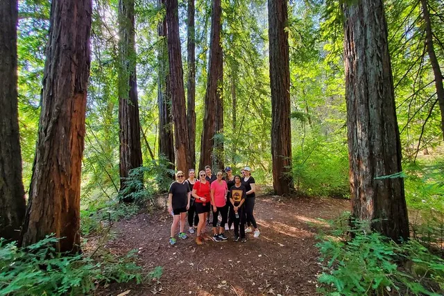 Napa Valley Redwood Hike - Image 1