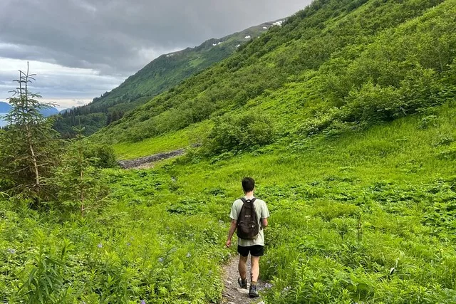 Seward Hiking Tour on Mount Marathon - Image 2