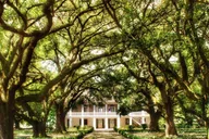 New Orleans Whitney Plantation Tour with Transportation thumbnail 2