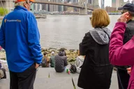 New York City Boroughs Sightseeing Bus Tour thumbnail 1